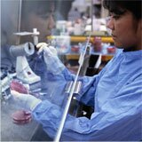 Vaccine Research